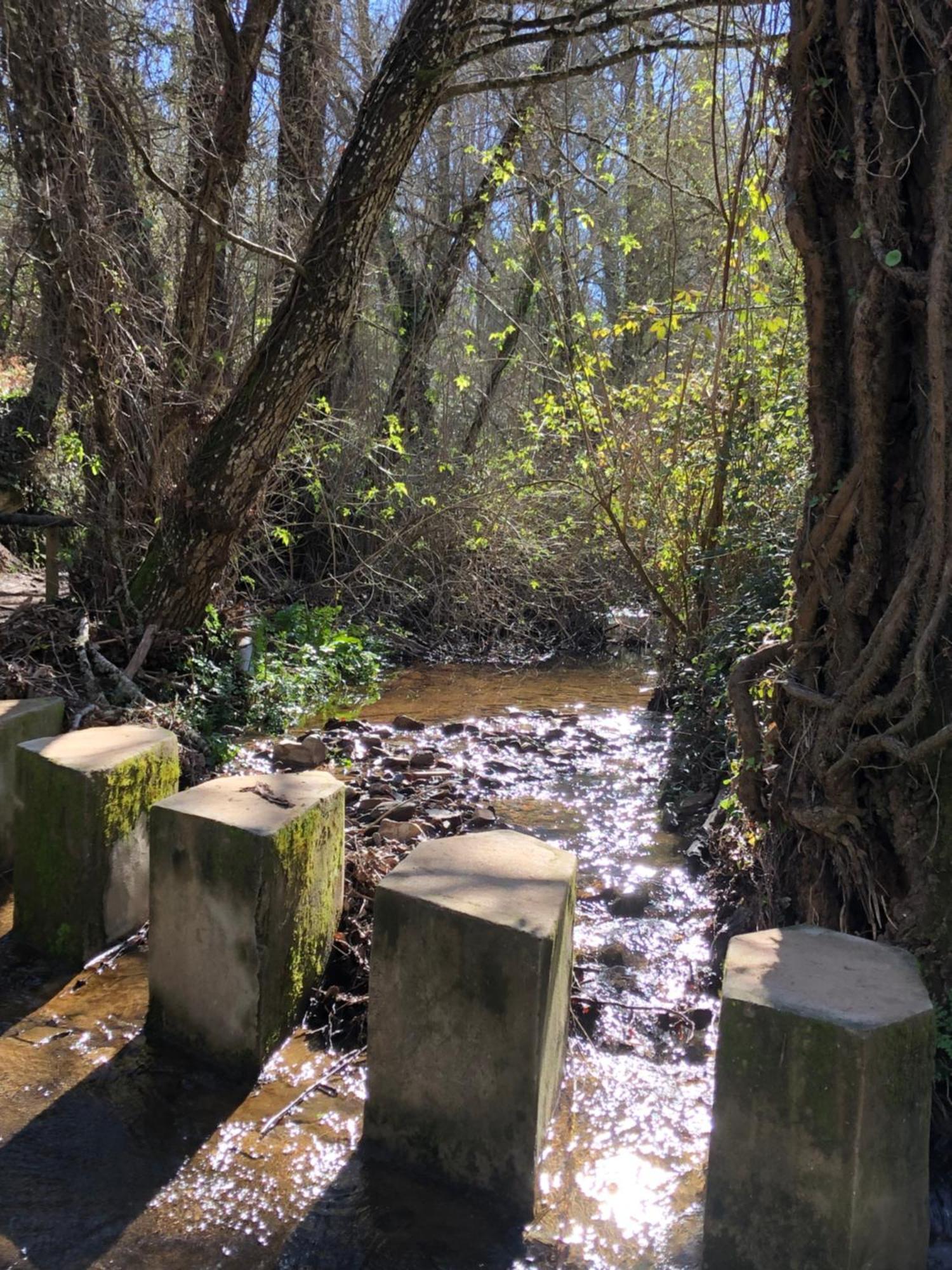 Alojamiento Rural El Castano Fuenteheridos Bagian luar foto