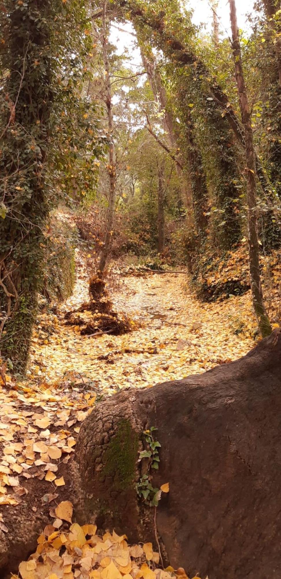 Alojamiento Rural El Castano Fuenteheridos Bagian luar foto