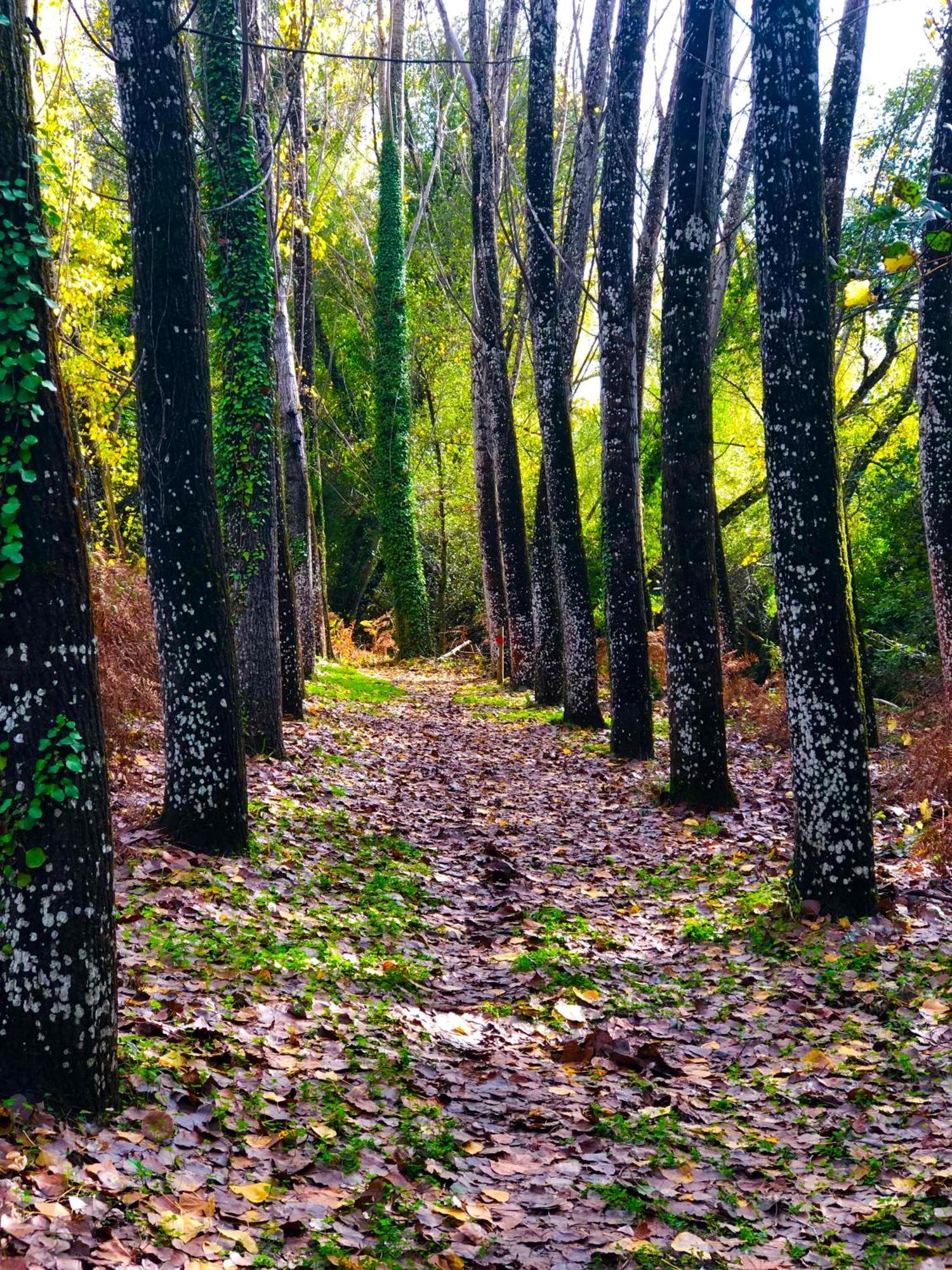 Alojamiento Rural El Castano Fuenteheridos Bagian luar foto