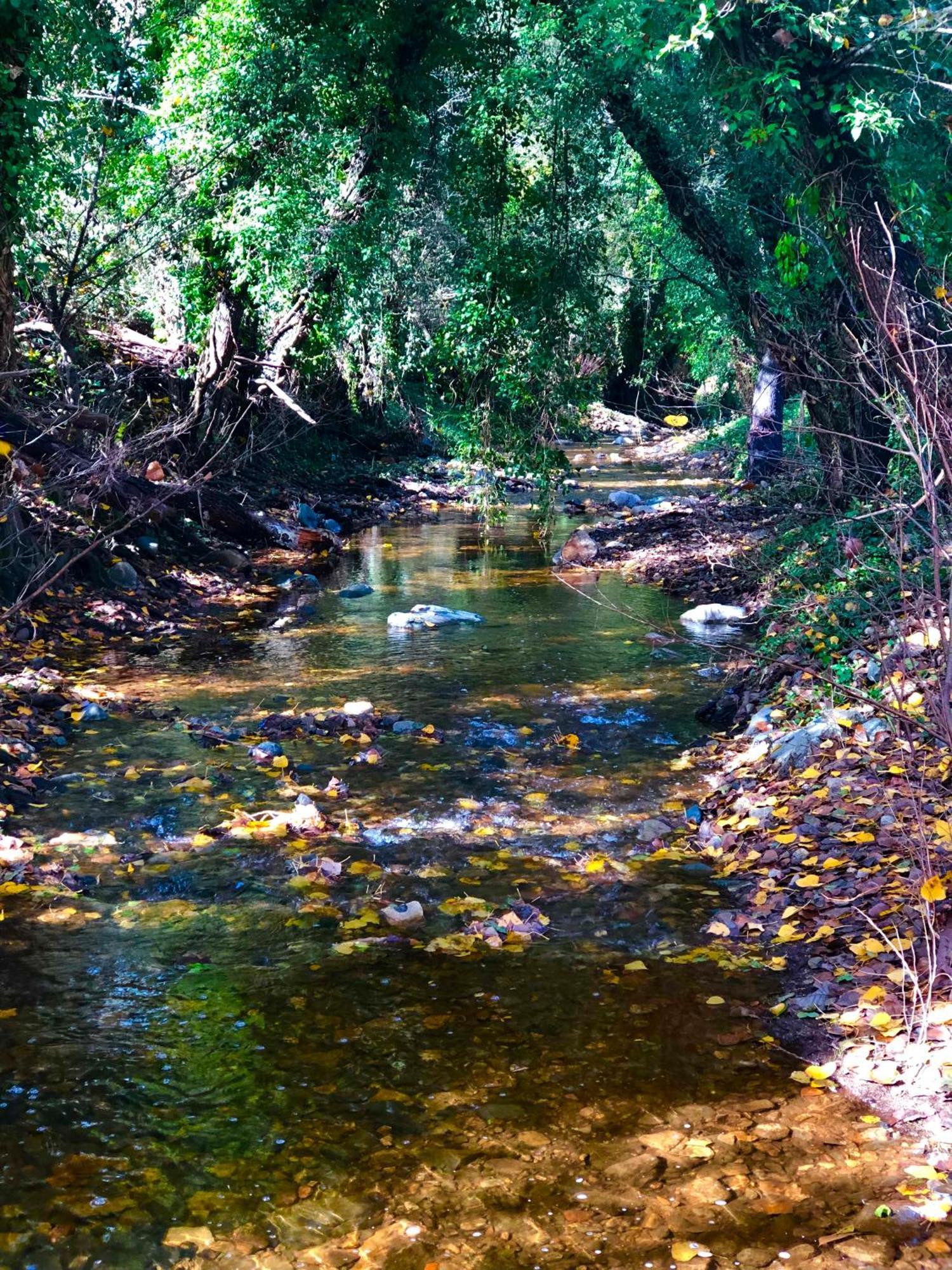 Alojamiento Rural El Castano Fuenteheridos Bagian luar foto
