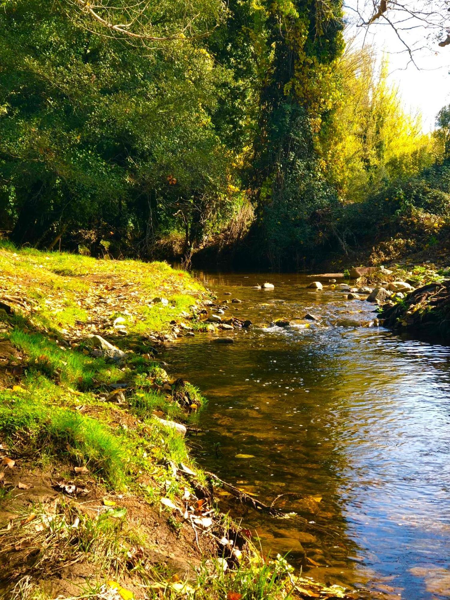 Alojamiento Rural El Castano Fuenteheridos Bagian luar foto
